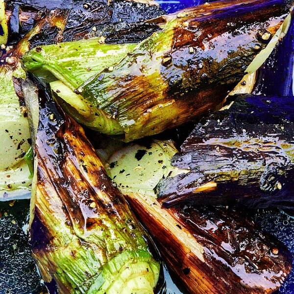 Charred Leeks With Honey and Vinegar